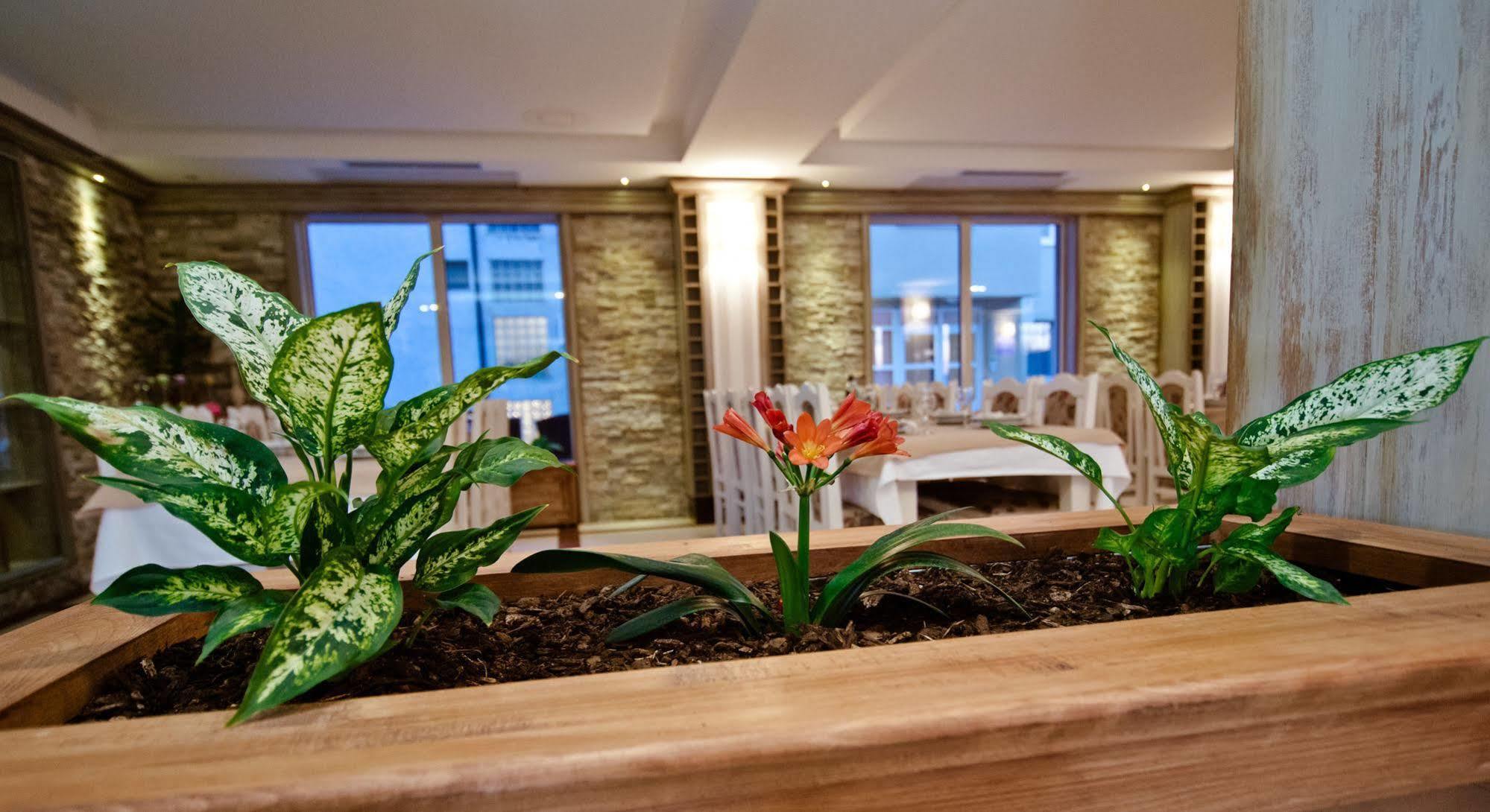 Wine Hotel Cesarica Međugorje Buitenkant foto