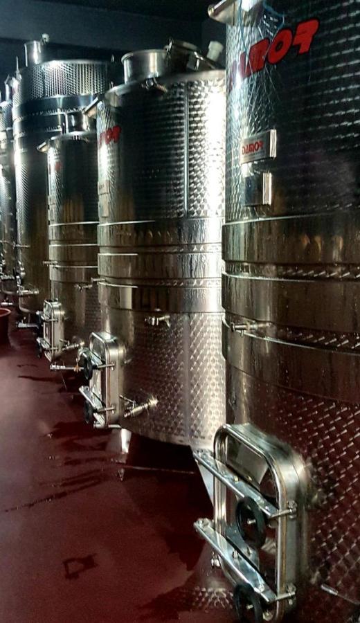 Wine Hotel Cesarica Međugorje Buitenkant foto
